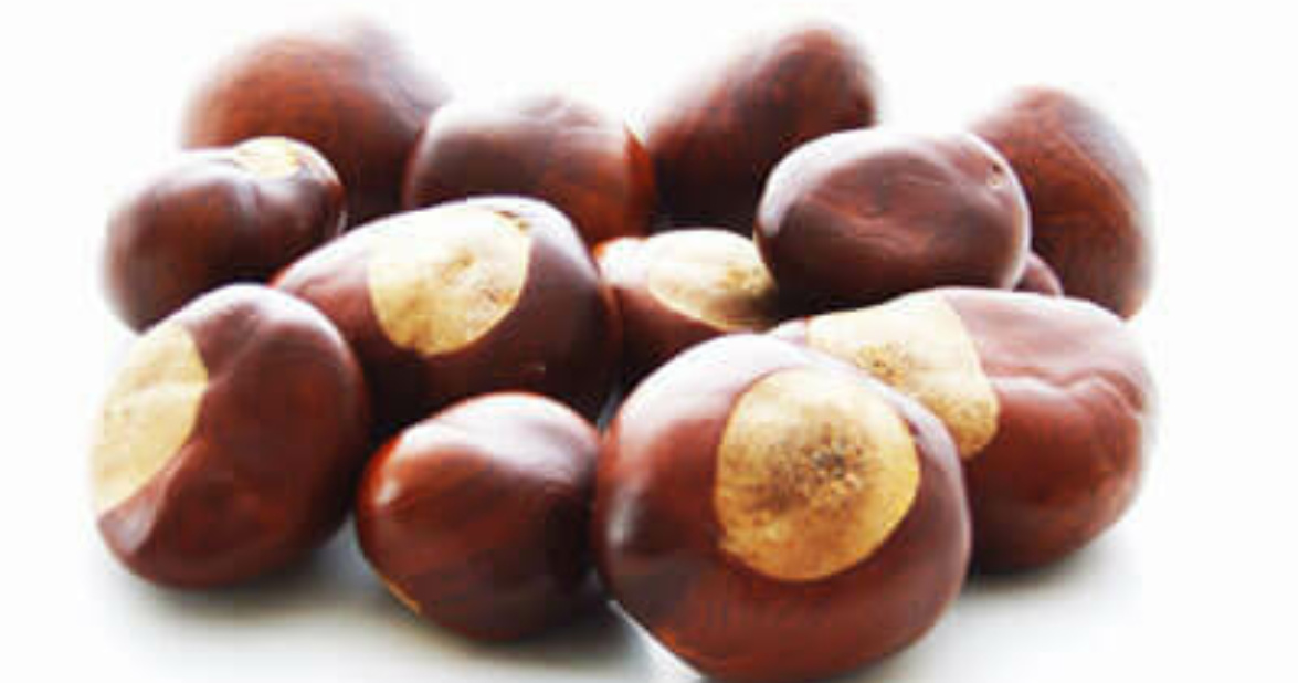 Chestnuts 1